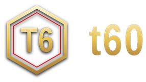 t60 logo